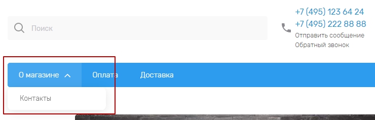 Выпадающий элемент пунктов главного меню