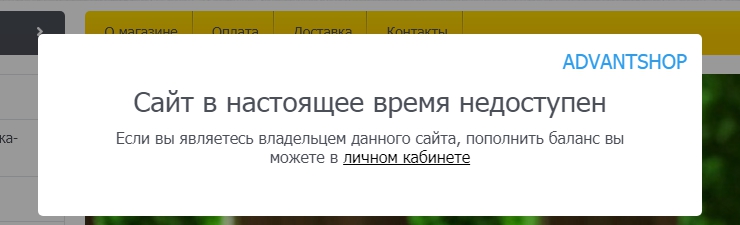 Сообщение вида, "Магазин в настоящее время недоступен" показывается когда сайт заблокирован программно