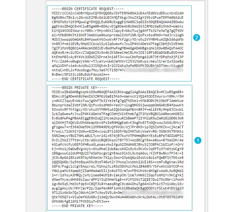 После заполнения данных, нажимаем на большую красную кнопку "Generate CSR" и получаем пункты 1 и 2 на рисунке