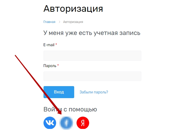 Указываем адрес сайта