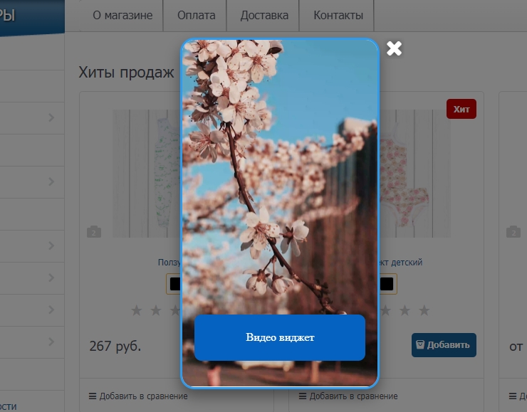 Настройка модуля "Promo Popup" - 2156