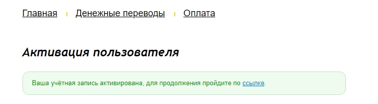 Подключение метода оплаты PayAnyWay (Moneta.ru) для юр.лиц и ИП - 6880