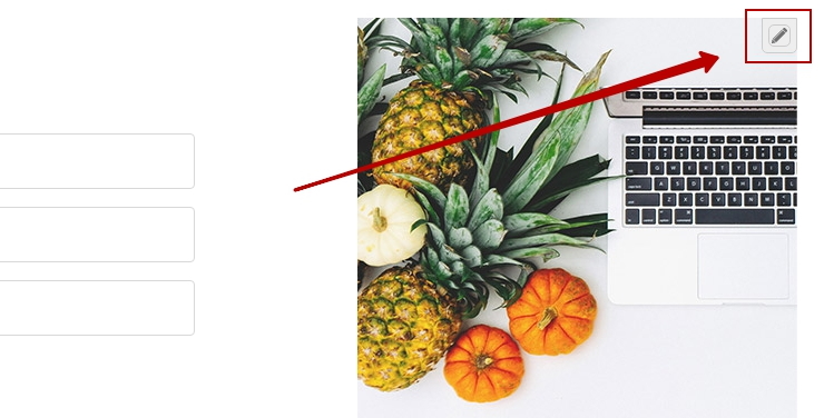 Формы захвата в воронках, поля форм - 9951