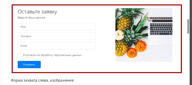 Формы захвата в воронках, поля форм - 9767