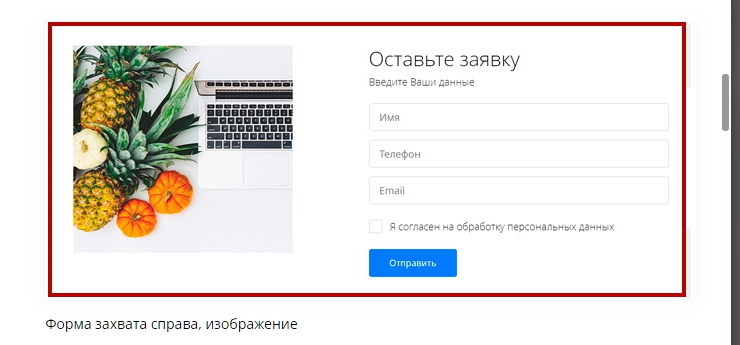 Формы захвата в воронках, поля форм - 1083