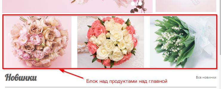 Блок над продуктами на главной.