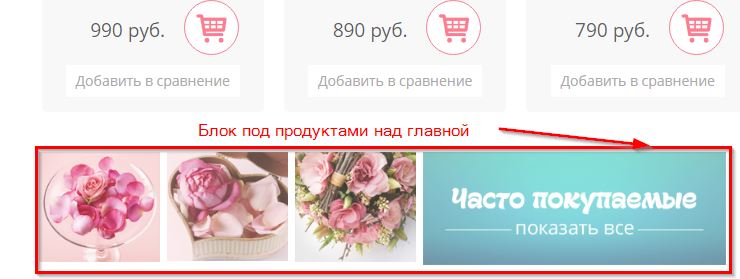 Блок под продуктами на главной.