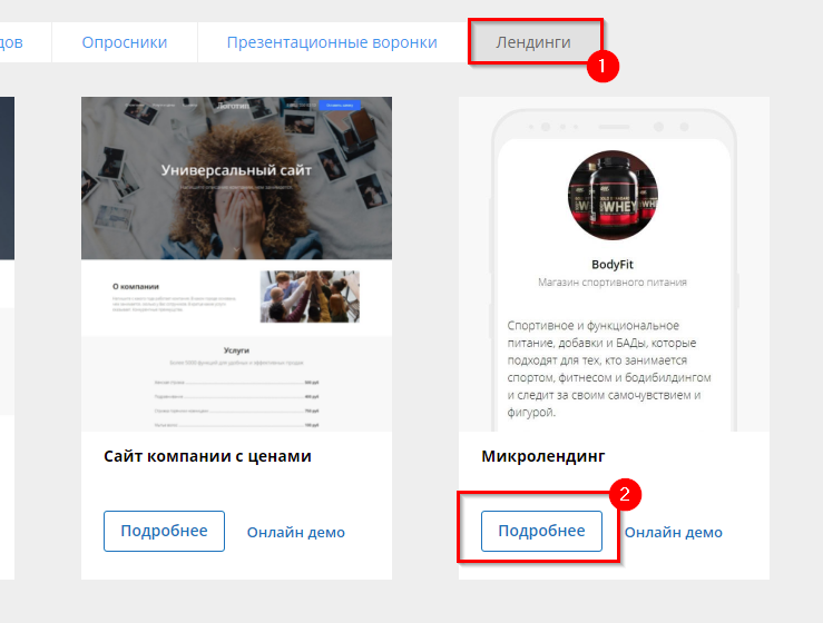 Шаблон воронки "Микролендинг" - 3133