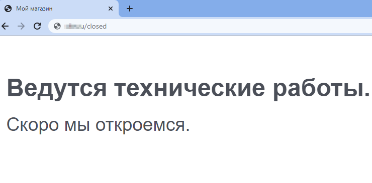 Данная функция позволяет вести технические работы по наполнению каталога и редактированию витрины магазина.