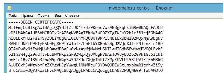 Склейка файлов SSL-сертификата с помощью сервисов sslshopper.com / sslchecker.com - 7499