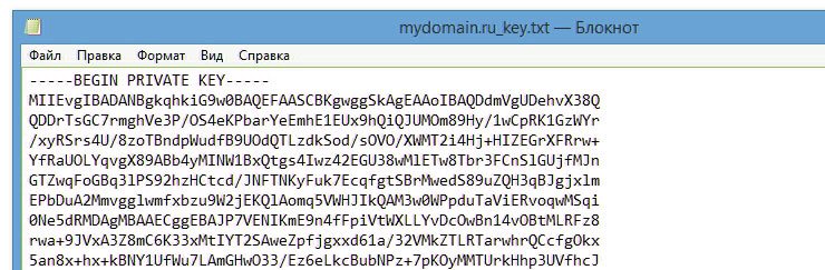 Склейка файлов SSL-сертификата с помощью сервисов sslshopper.com / sslchecker.com - 6135