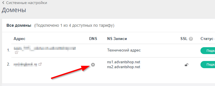 Как указать свои MX, TXT и CNAME записи к домену для магазина в облаке - 1580
