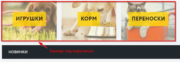 Баннер под слайдером.