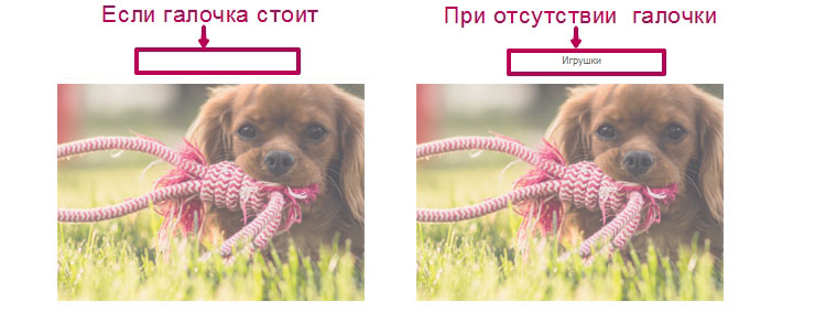 Отображение названия категории.