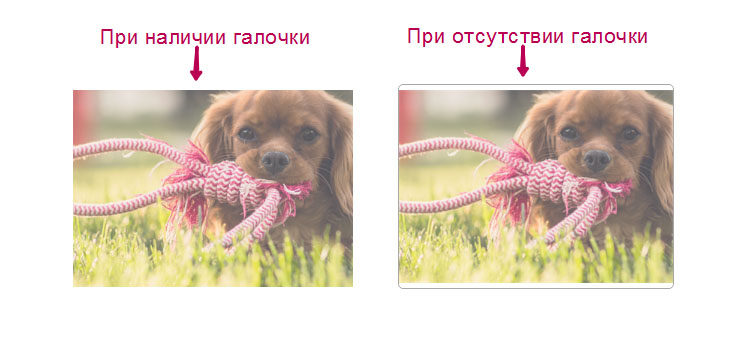 Обводка категории.