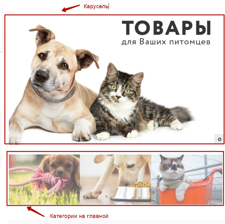 Расположение категории под каруселью.