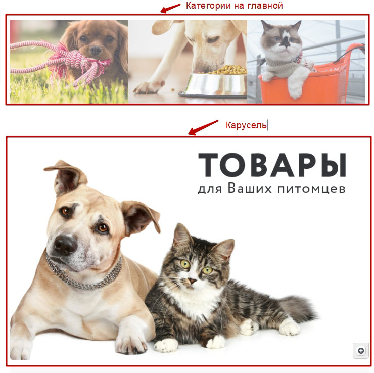 Расположение категории под каруселью.