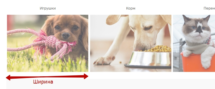 Ширина изображения.