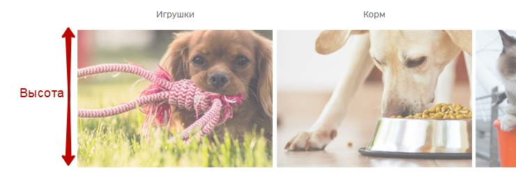 Высота изображения.