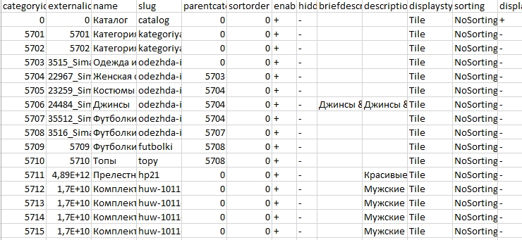 После скачивания получаем файл такого вида