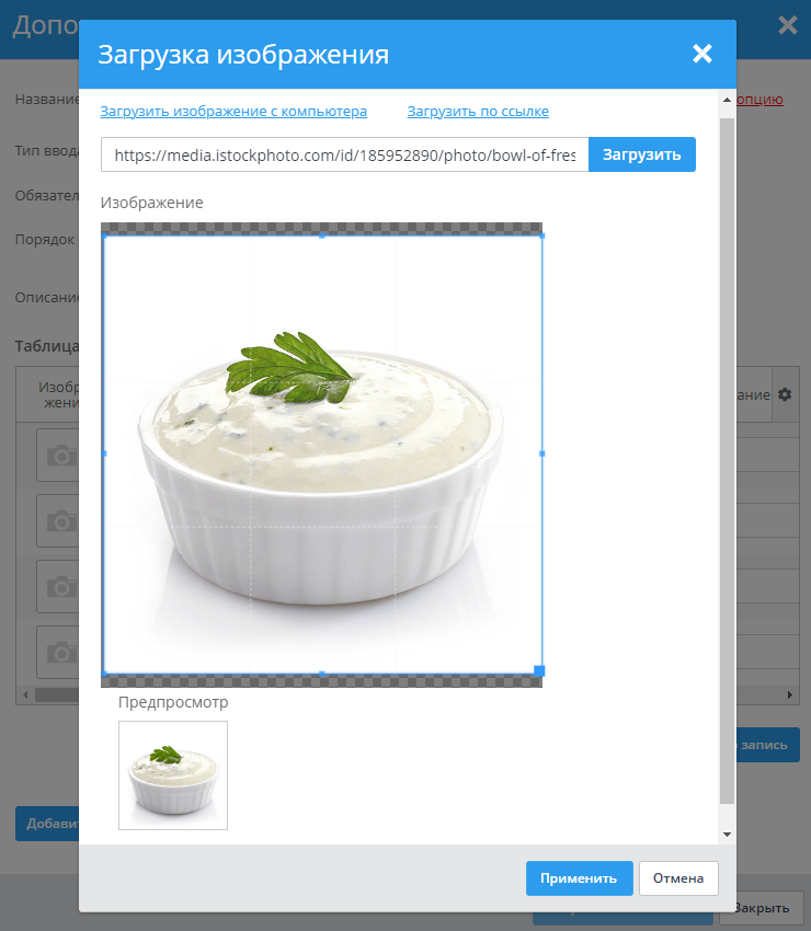 Описание и дополнительные опции товаров - 5172