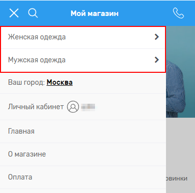 Настройка мобильной версии - 7481