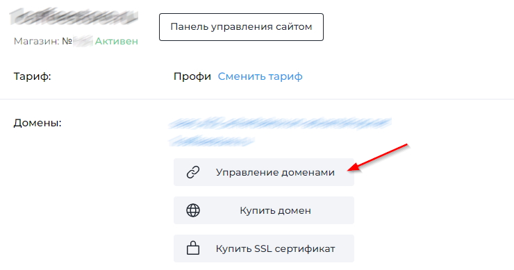 Как указать свои MX, TXT и CNAME записи к домену для магазина в облаке - 2389