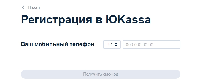 Подключение метода оплаты ЮKassa - Виджет - 8814