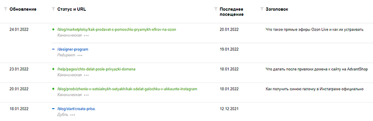 Пример информации в категории Страницы в поиске