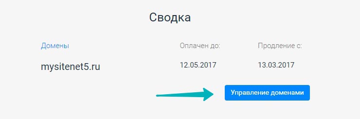 Далее на странице "Сводка" выбираем "Управление доменами"