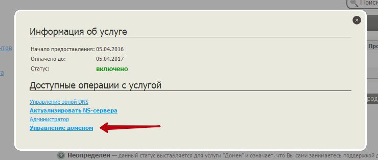 В появившемся окне, нажимаем на "Управление доменом".