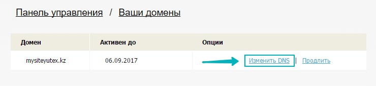 В списке находим нужный домен и нажимаем на "Изменить DNS".